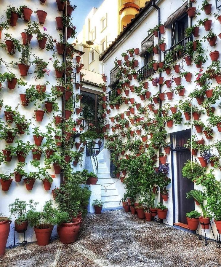 Apartamentos El Alcazar Viejo Kordoba Bagian luar foto